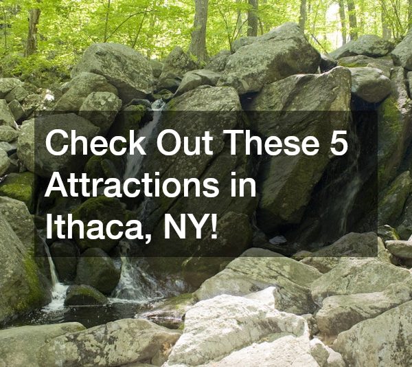 Check Out These 5 Attractions in Ithaca, NY!